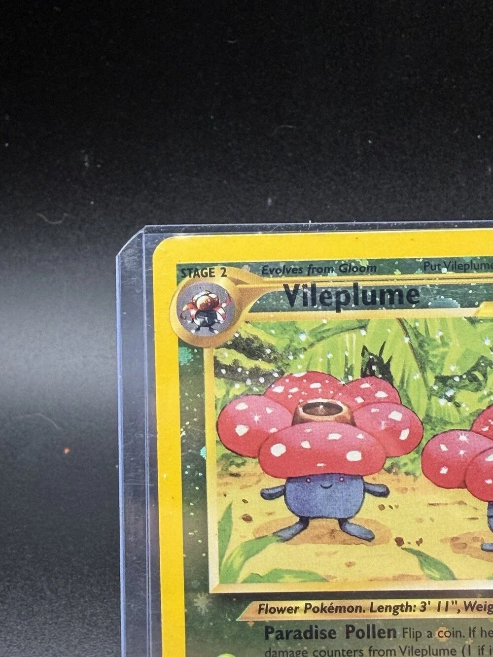 N/A vileplume southern